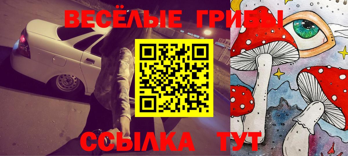 Шелехов  Псилоцибиновые грибы MAGIC MUSHROOMS  Вход с VPN 